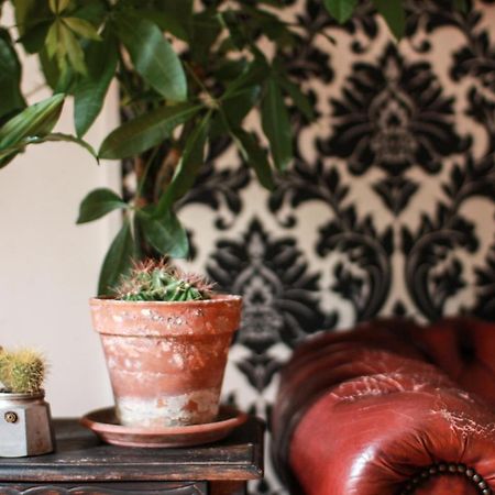 Coliving Trastevere Rome Bagian luar foto