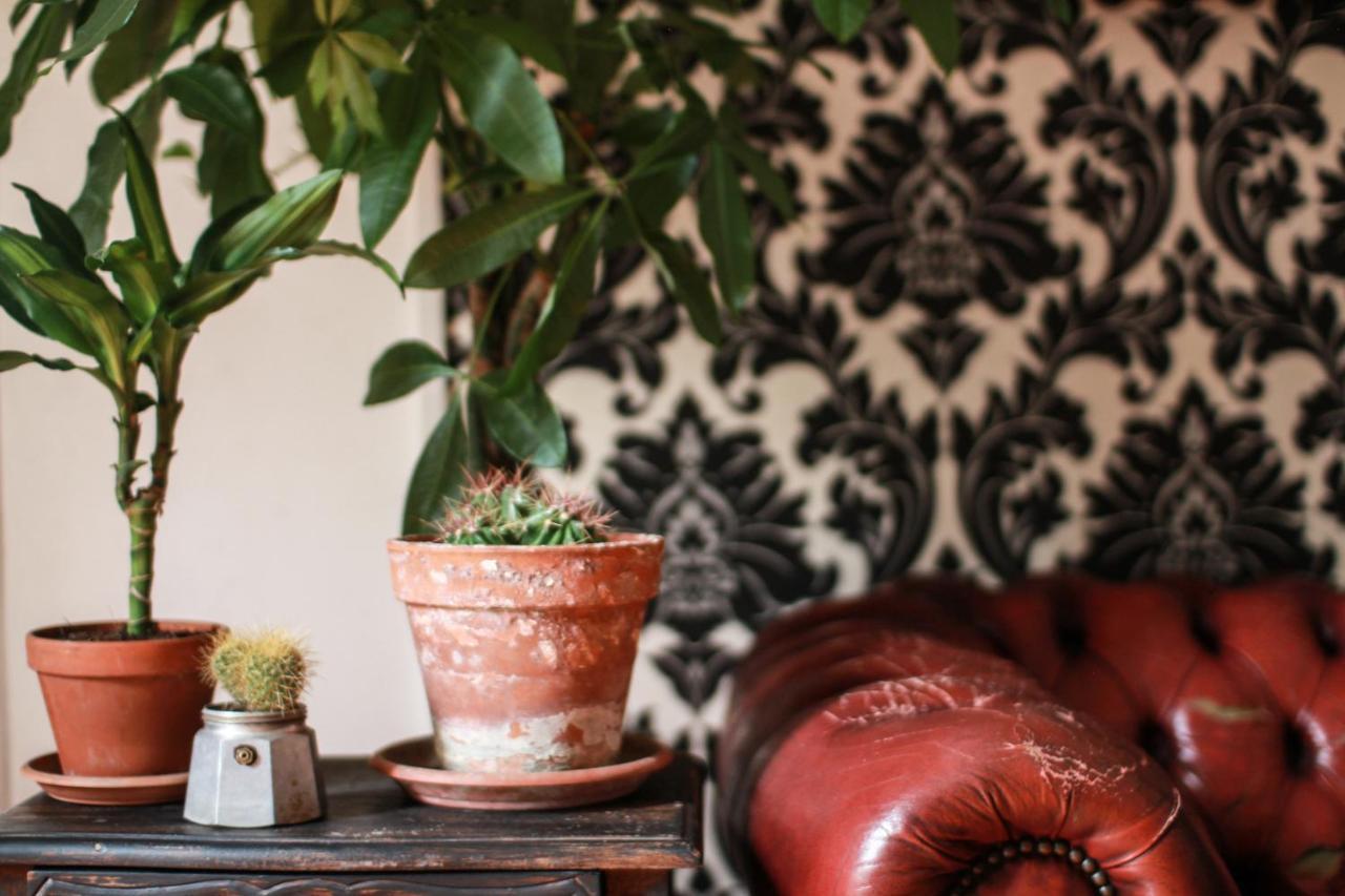Coliving Trastevere Rome Bagian luar foto